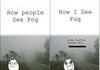 How i see fog