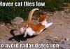 Hover Cat Flies Low
