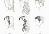 Head/hair sketch base
