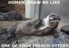 Human, draw me like one of your French Otters