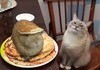 hare in my pancakes