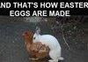 how easter eggs made
