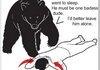 How to avoid bears