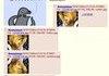 Welcome to 4chan...