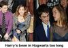 Harrys Magic Wand