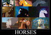 Horses since 1959.