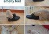 How to tell if u have smelly feet