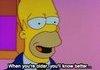 Homer knows
