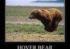 Hover Bear Lol