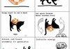 troll physics