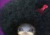 Afro chick