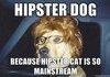 Hipster Dog