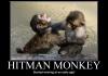 Hitman monkey Jnr