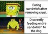 How Eat Sandwich