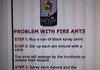How to kill ants