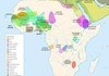 Afrika Kingdoms