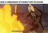How a weeaboo studies for an exam
