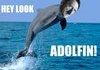 Hey look a Dolphin