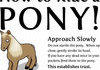 How to ride a pony