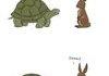 Troll Turtle
