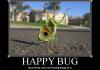 Happy Bug