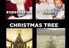 Holiday Expectations vs Reality