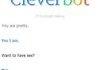 How to get with cleverbot