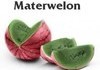 Materwelon