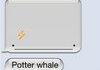 Harry Potter Whale.