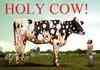 HOLY COW! (read description)