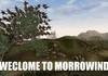 How it feels to play Morrowind