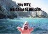 Hey MTV