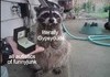 Making a happy raccoon