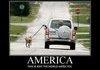 American Dog Walkers