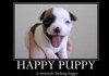 Happeh Puppeh Is Happeh