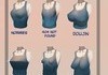 types of bewbs