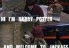 Harry Potter Jackass