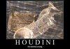Houdini!