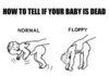How to tell if your baby is dead