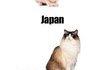 america vs. japan