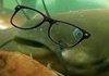 Hipster Fish