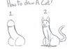 How to draw a cat :3