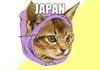 Hipster Cat Japan