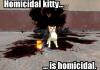 Homicidal Kitty