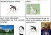There's this mosquito.... in BRAZIL