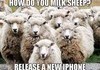 How do you milk sheep?