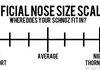 What size is your nose