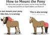 How to mount the pony .