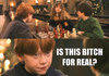 Harry Potter's Christmas