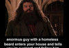 Hagrid Oh You